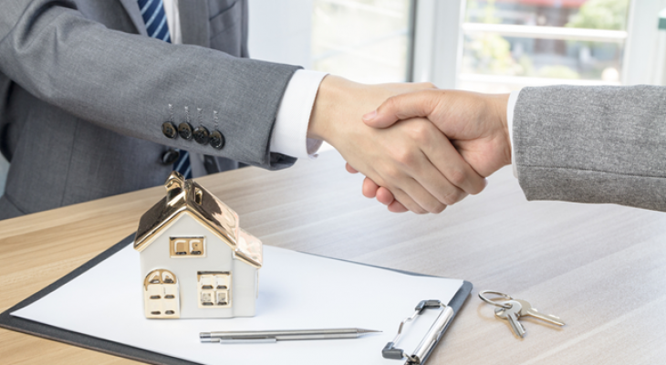 Tư vấn, môi giới, đấu giá bất động sản